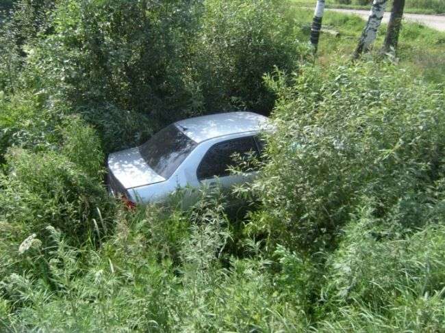 Ярославська область: іномарка після ДТП вилетіла в кущі