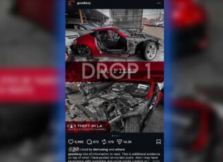 Social Media Exposure Reveals Organized Car Theft Ring in Los Angeles