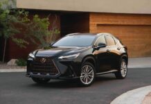 Lexus NX Hybrid: Реальная оценка батареи, стоимость, срок службы и правда