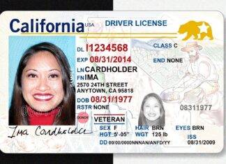 CA DMV révoque la confiance de 11 000 conducteurs pour « irrégularités »